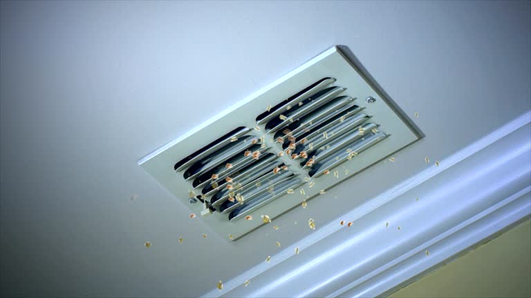 Best Duct Cleaning for Homes  in Fris, CO